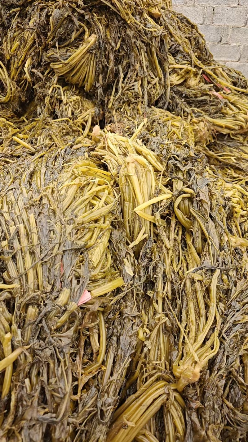 湖北雪里红梅干菜对接全国量大从优价格美丽欢迎询价