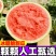 云南甜王西瓜