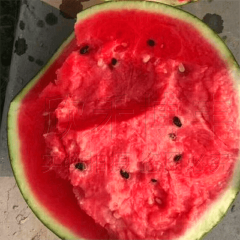 云南甜王西瓜