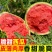 云南甜王西瓜