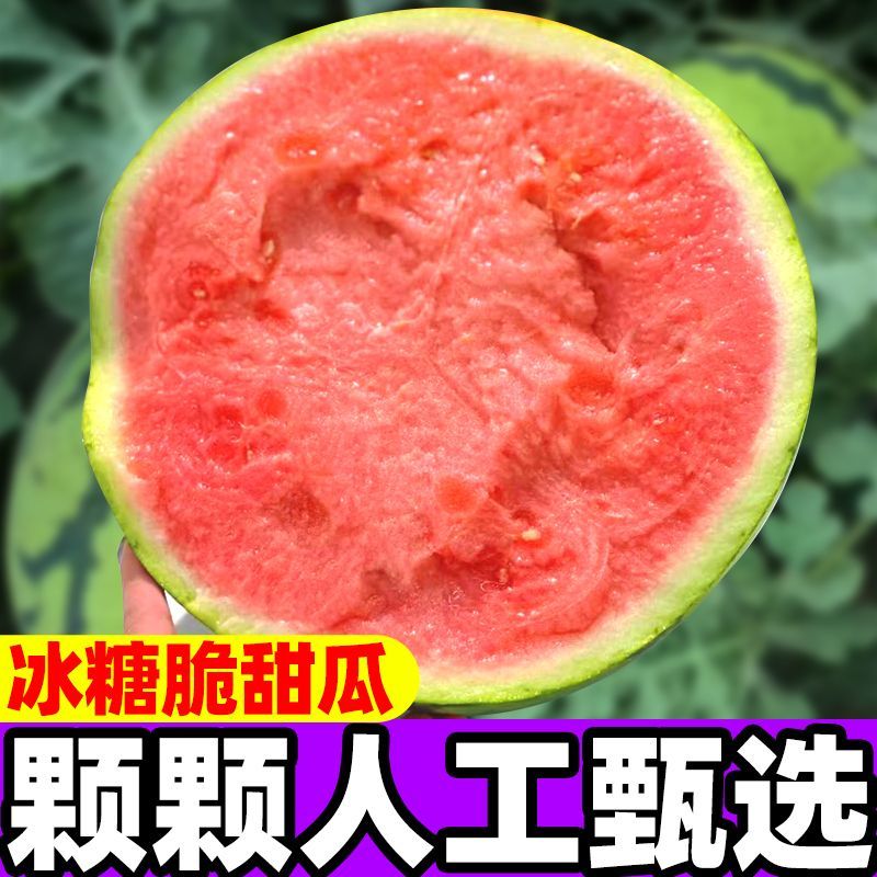 云南甜王西瓜