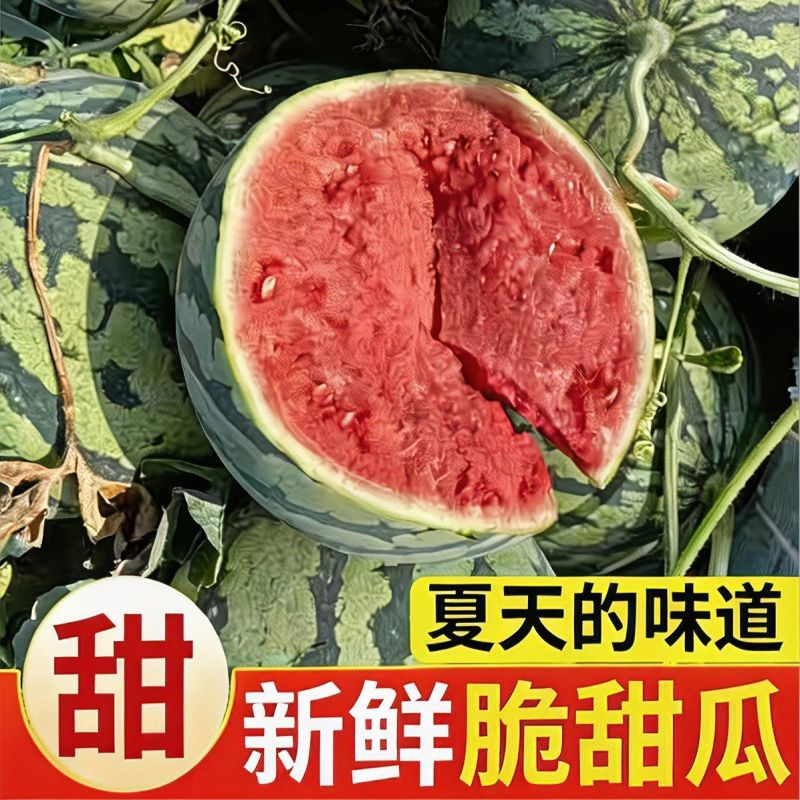 云南甜王西瓜