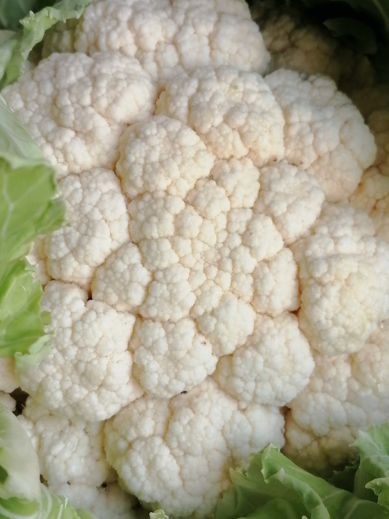 精品花菜产地大量接车散花有机花实花