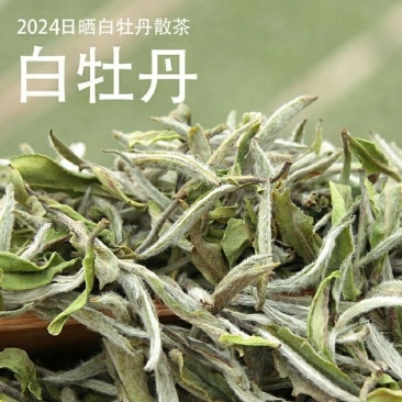 福鼎牡丹王大毫