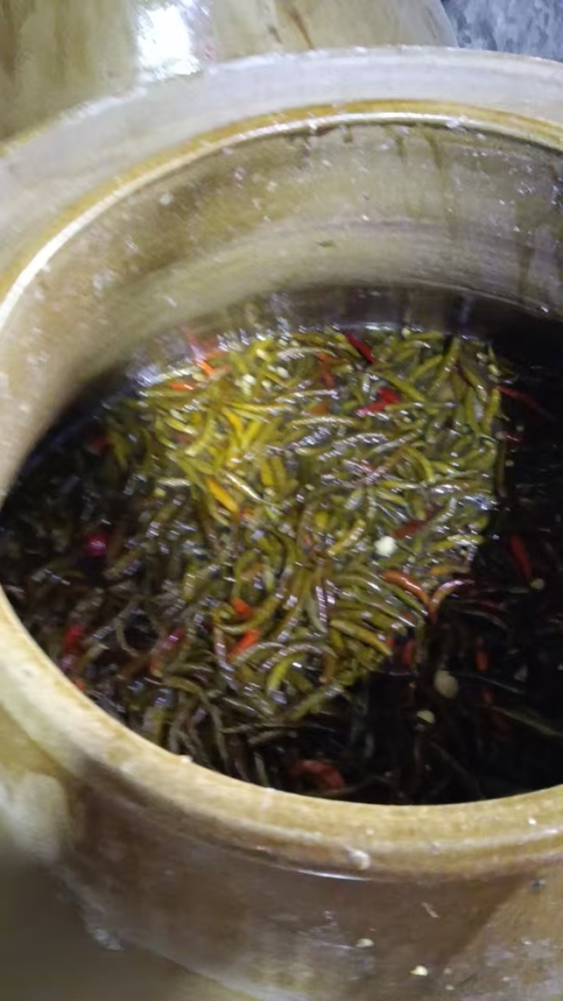 老家土坛子泡酱腌菜泡椒