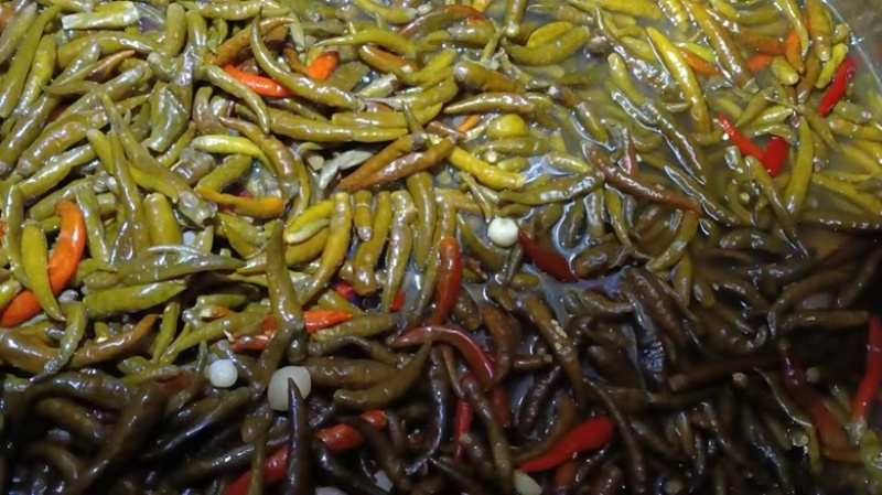 老家土坛子泡酱腌菜泡椒