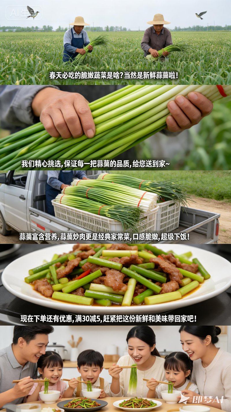 江苏盐城产地蒜薹新鲜上市