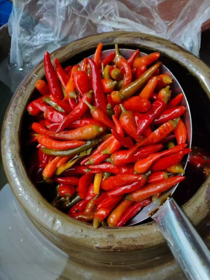 【腌辣椒】正宗泡酱腌菜泡椒，味道纯正好吃不辣，量大从优