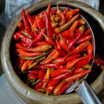 【腌辣椒】正宗泡酱腌菜泡椒，味道纯正好吃不辣，量大从优