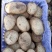 湖北黄心土豆，规格齐全2两以上，保质保量无划痕，全国供应