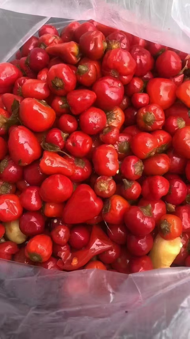 【腌辣椒】正宗泡酱腌菜泡椒，味道纯正好吃不辣，量大从优