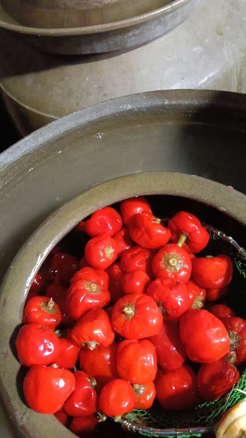 【腌辣椒】正宗泡酱腌菜泡椒，味道纯正好吃不辣，量大从优