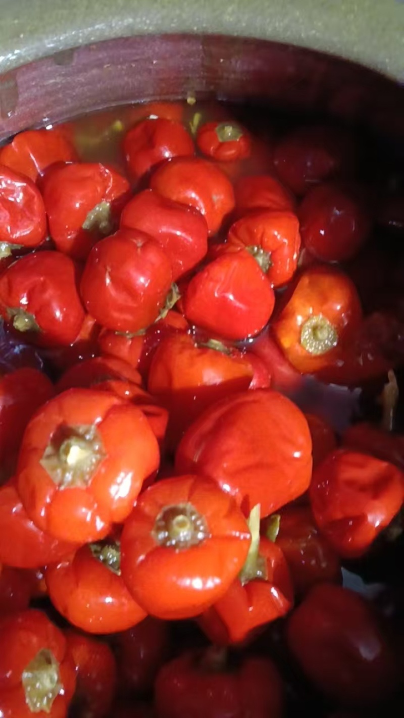 【腌辣椒】正宗泡酱腌菜泡椒，味道纯正好吃不辣，量大从优