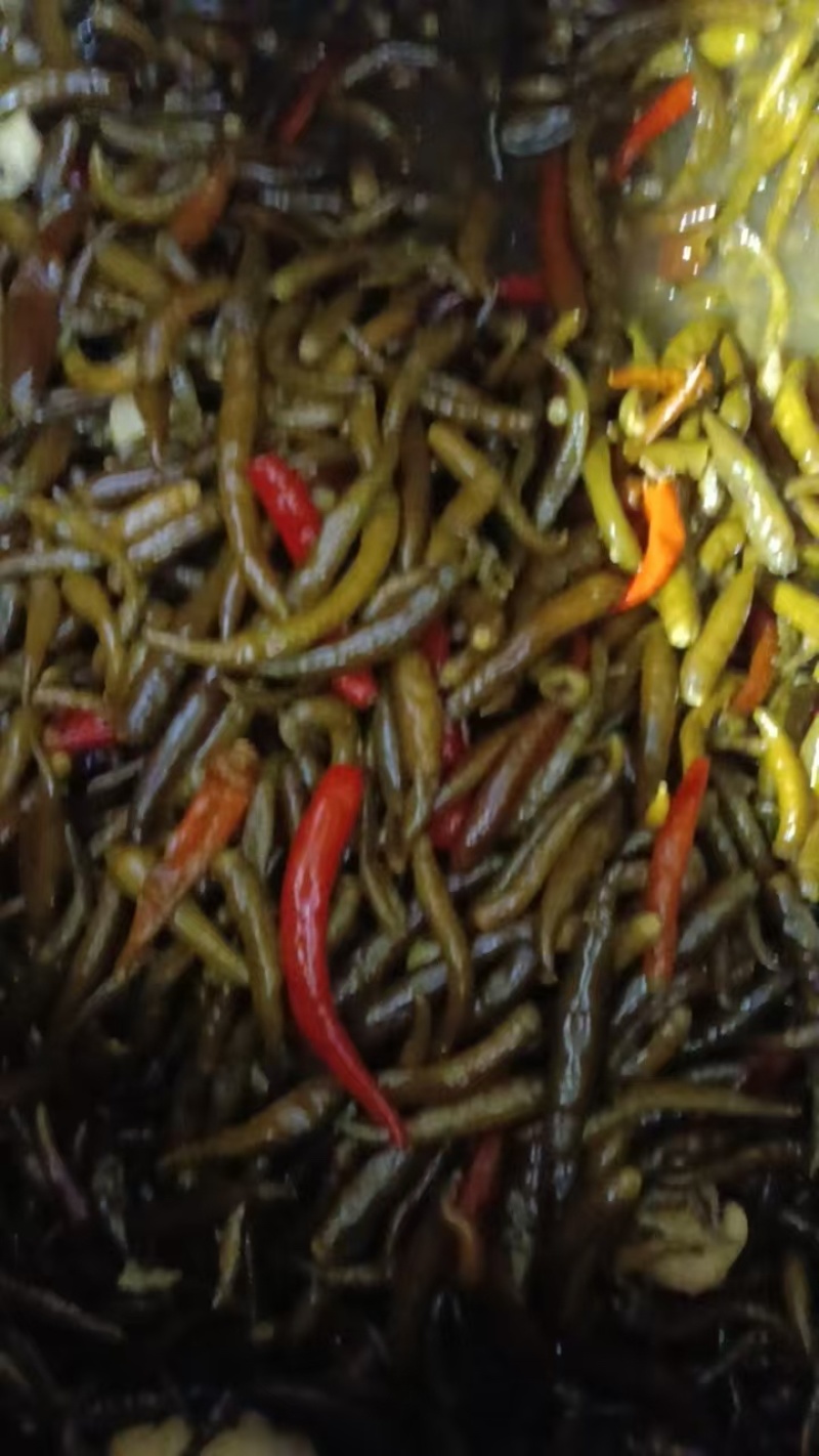 青泡椒