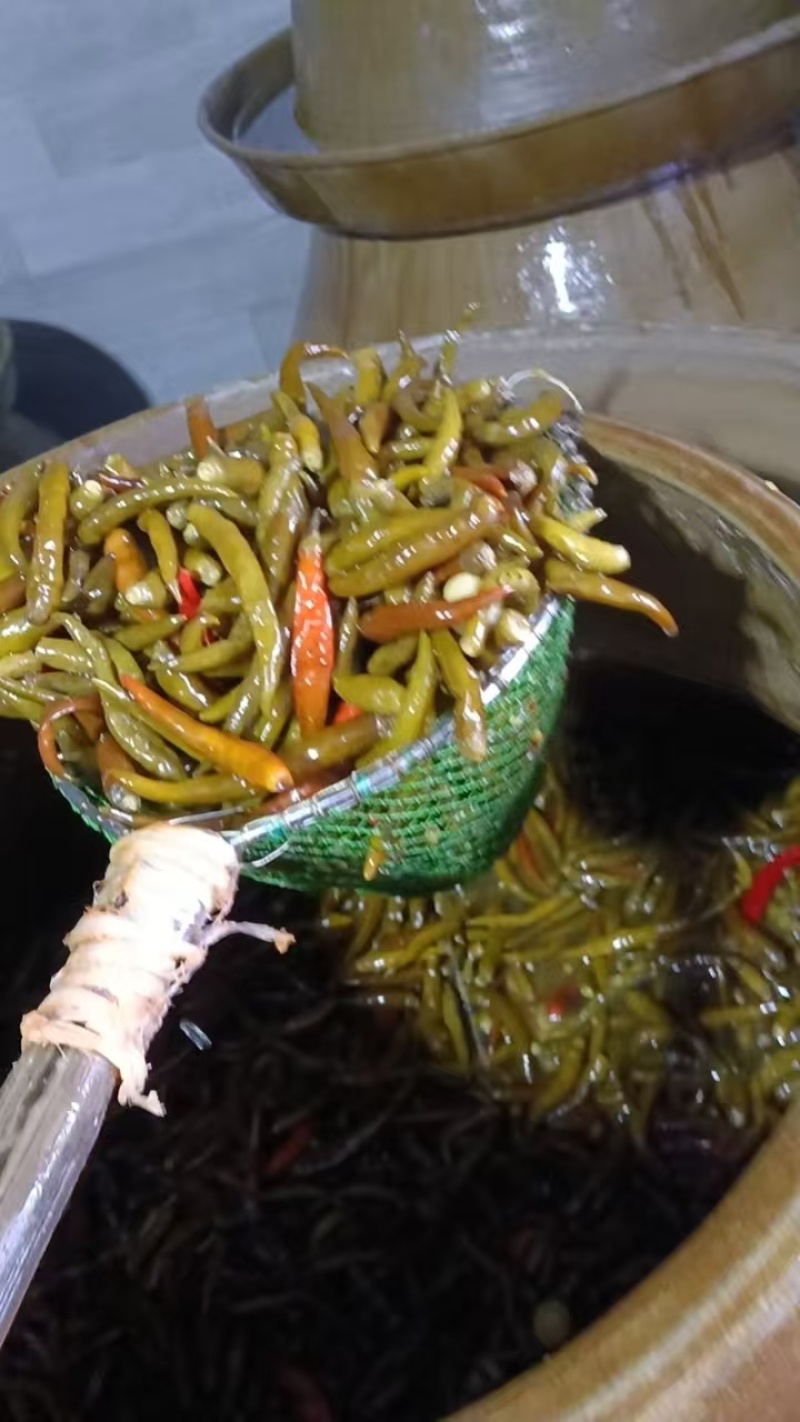 青泡椒