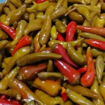 青泡椒