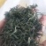 昭平绿茶，红茶。