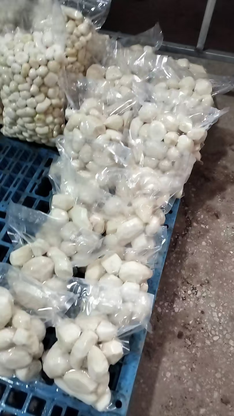 纯手工削皮大芋头可对接商超市场加工厂品质优新鲜欢迎咨询