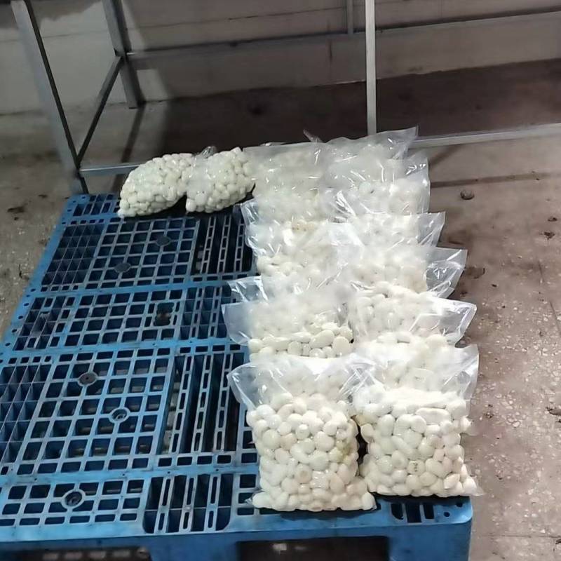 去皮小芋头大量供应品质优可视频看货欢迎咨询来电咨询
