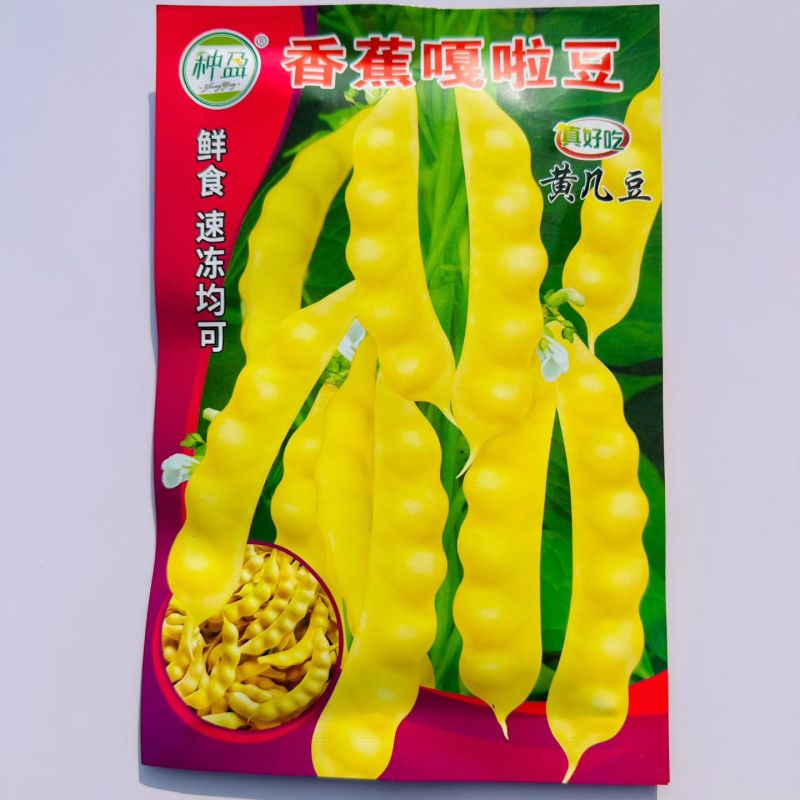 香蕉嘎啦豆黄几豆种子黄香蕉油豆角种子无筋无柴豆鼓面香