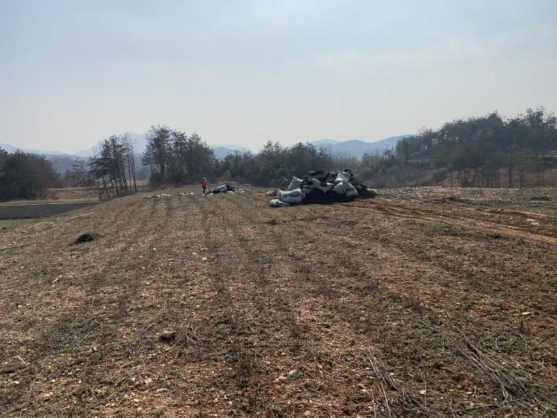 【实力】精品艾草产地直发货源充足保质保量诚信为本