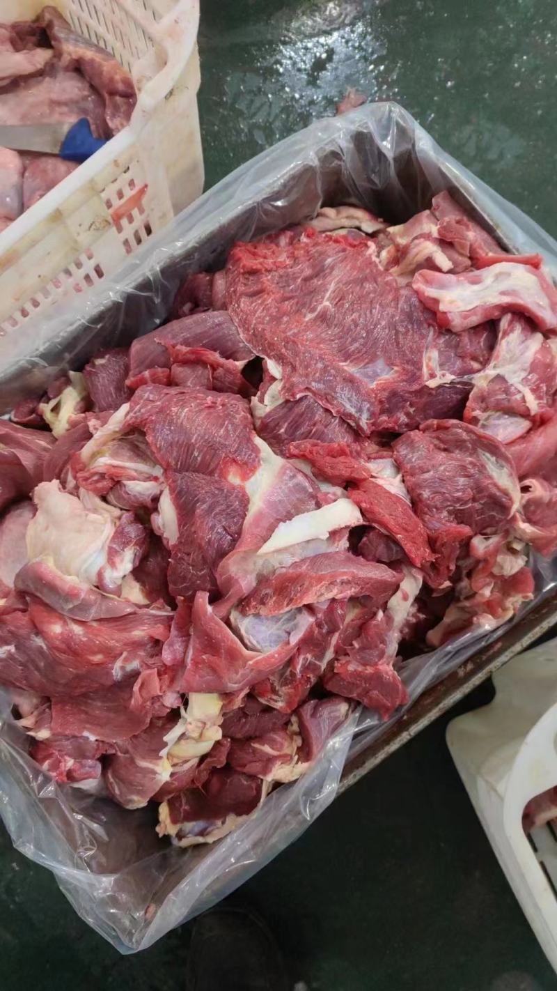 牛肉筋