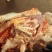 生鲜土黄牛肉