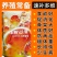 电解多维抗应激，鸡鸭鹅长羽毛靓丽，提高存栏率猪牛羊异食癖