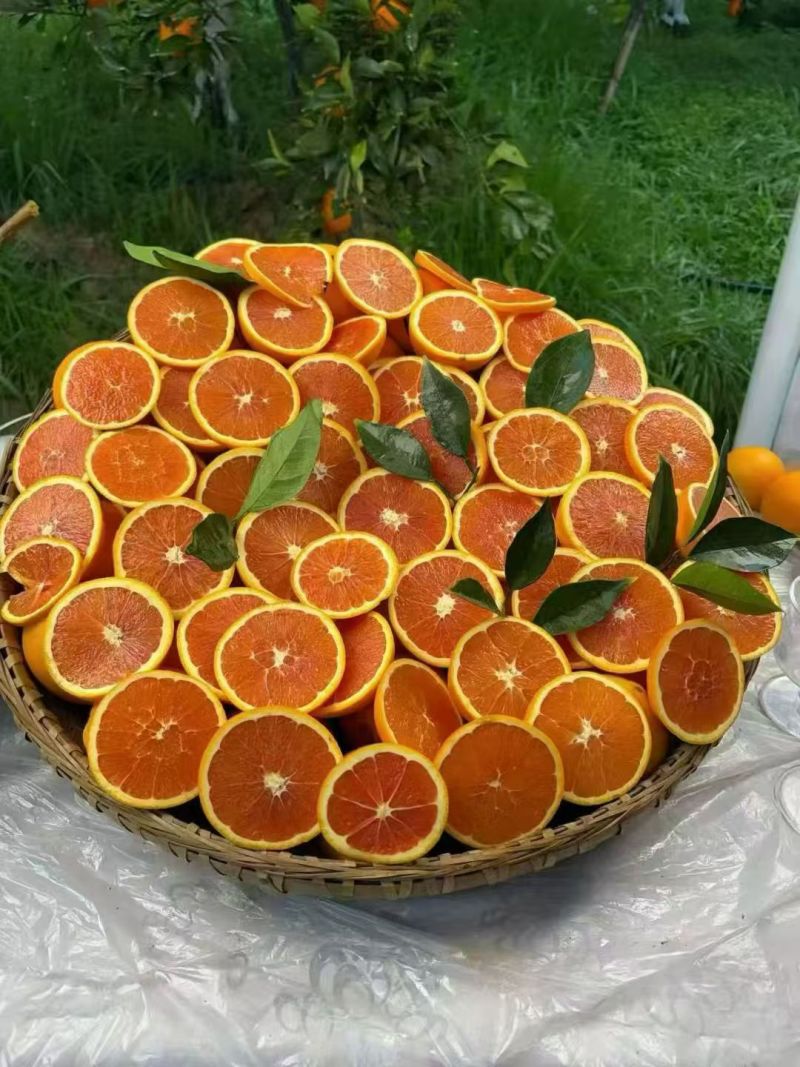 秭归脐橙