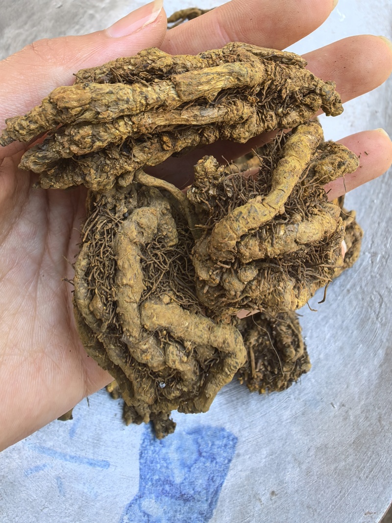 黄连鸡爪连无杂质只买好货品质保证价格实惠