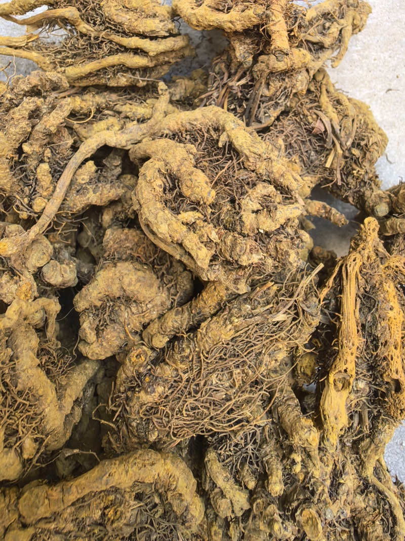 黄连鸡爪连无杂质只买好货品质保证价格实惠