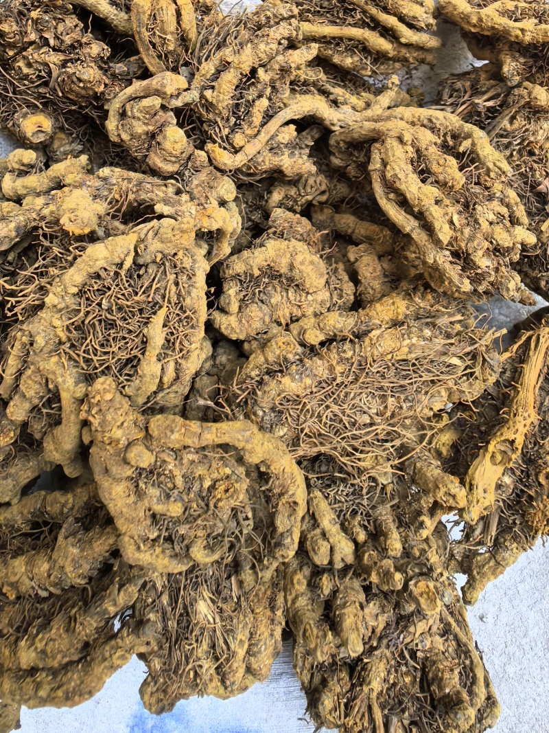 黄连鸡爪连无杂质只买好货品质保证价格实惠