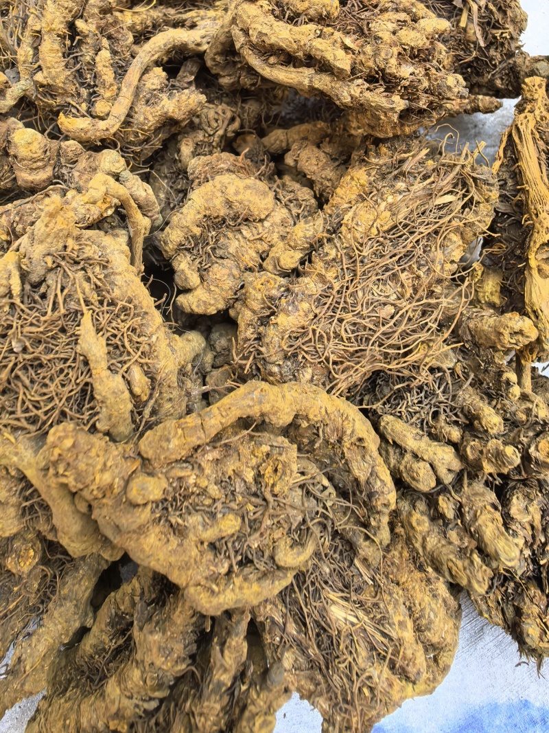 黄连鸡爪连无杂质只买好货品质保证价格实惠