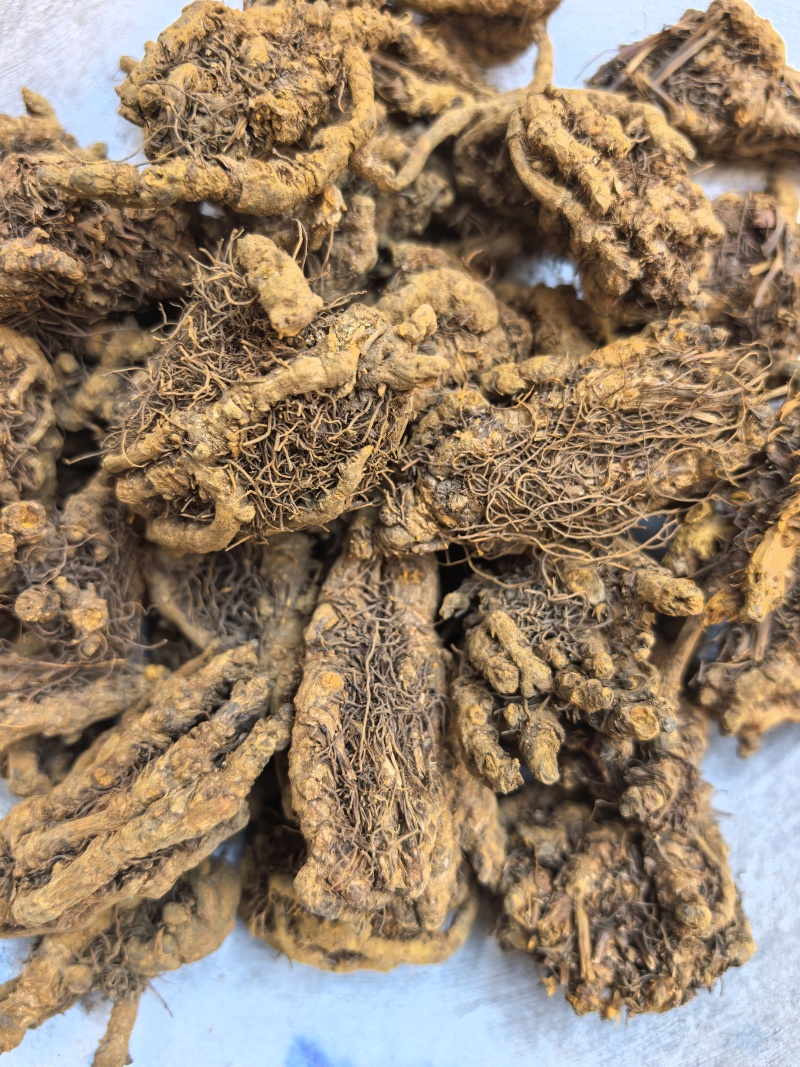黄连鸡爪连无杂质只买好货品质保证价格实惠