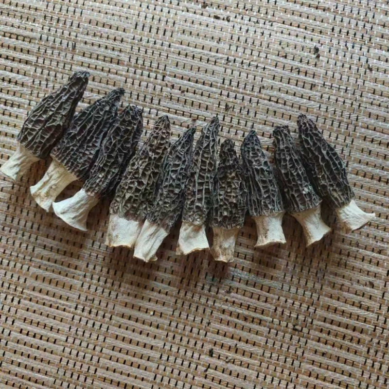 3-5厘米羊肚菌干货自种自产全程烘干无硫等级齐全