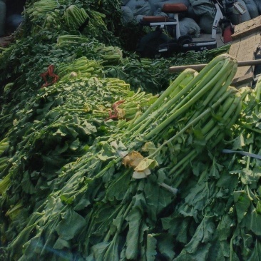 雪菜，大辣菜
