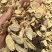 黄芪泡茶产地一手货源品质保证价格实惠