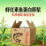 虾红素鱼蛋白原浆快速生根叶片肥厚浓绿膨大果实