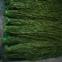 云南新鲜贡菜干