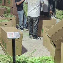 大量贡菜干现货