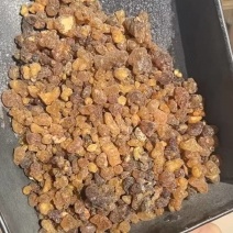 乳香珠