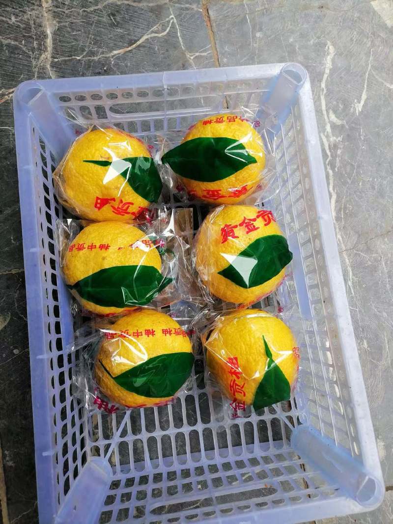 正宗黄金贡柚.甘甜爽口.
