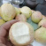 白心番石榴芭乐