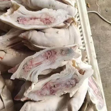 对半猪蹄450克左右纯干的