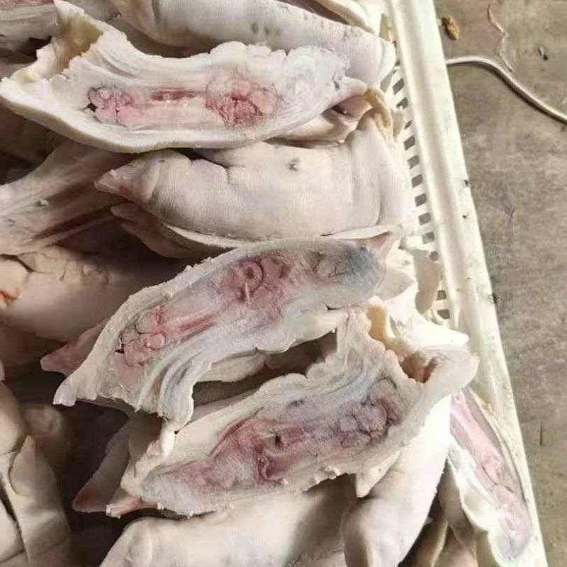 对半猪蹄450克左右纯干的