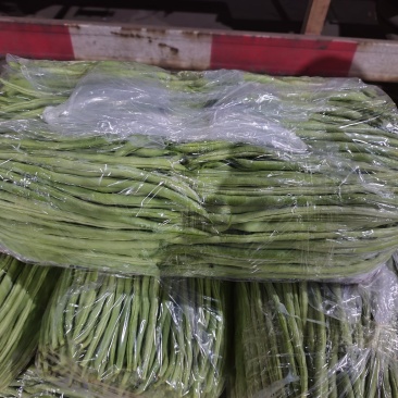 架豆王