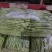 架豆王