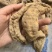 天麻天麻个无硫干货品质保证价格实惠