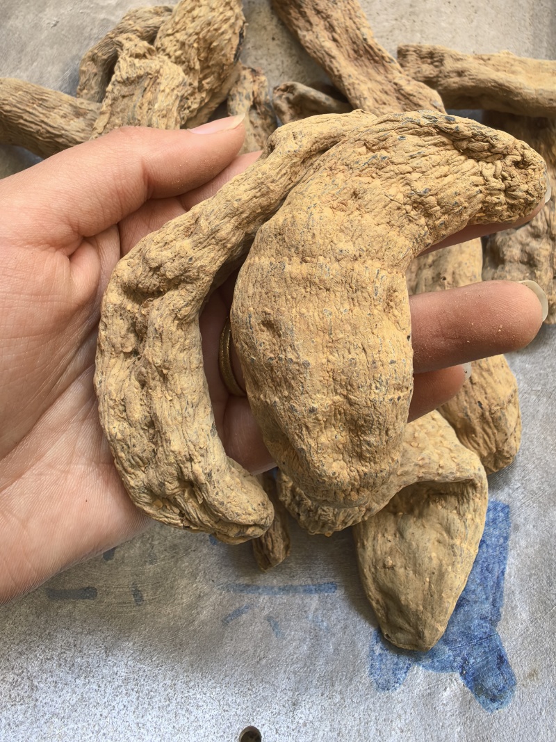 天麻天麻个无硫干货品质保证价格实惠
