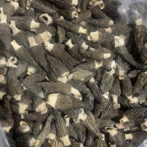 5-7公分羊肚菌干货新货足干电商代发